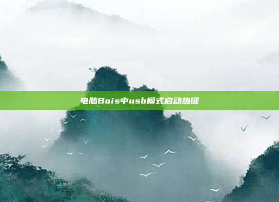 电脑Bois中usb模式启动热键