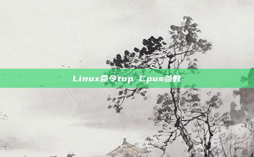 Linux命令top Cpus参数
