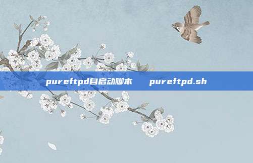 pureftpd自启动脚本   pureftpd.sh