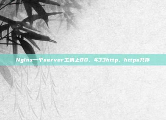 Nginx一个server主机上80、433http、https共存